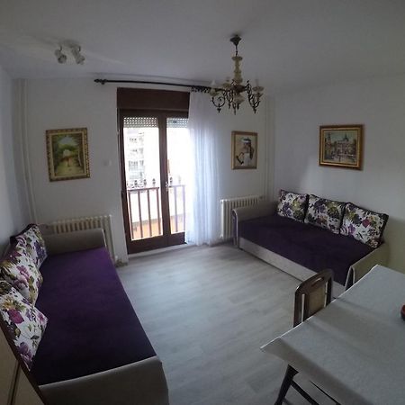 Violet Star Apartment Novi Sad Dış mekan fotoğraf