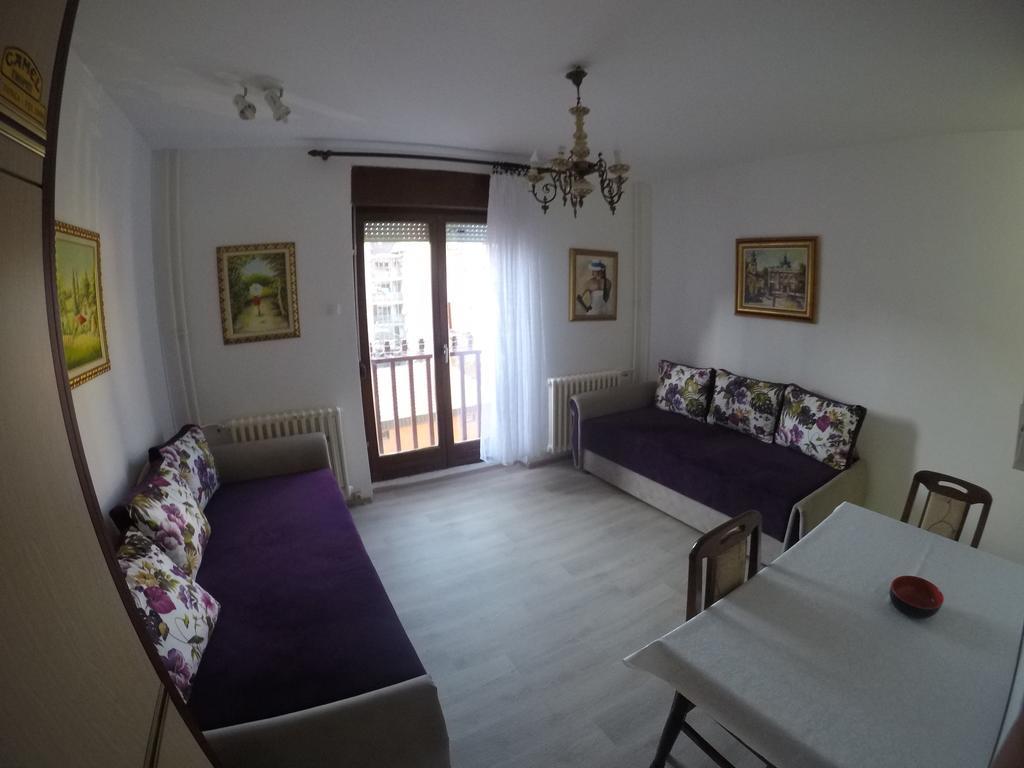 Violet Star Apartment Novi Sad Dış mekan fotoğraf