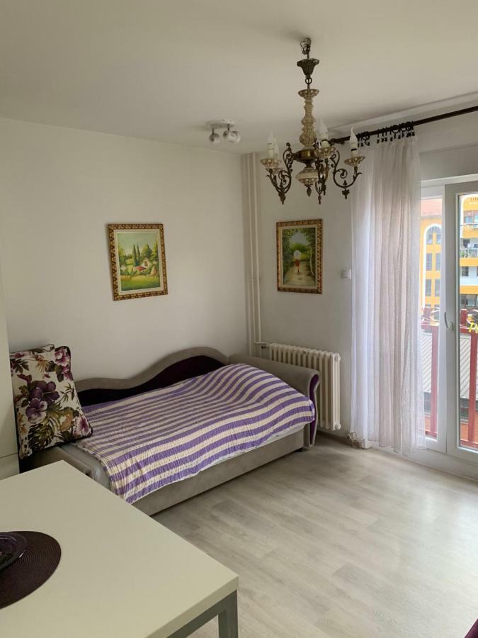 Violet Star Apartment Novi Sad Dış mekan fotoğraf