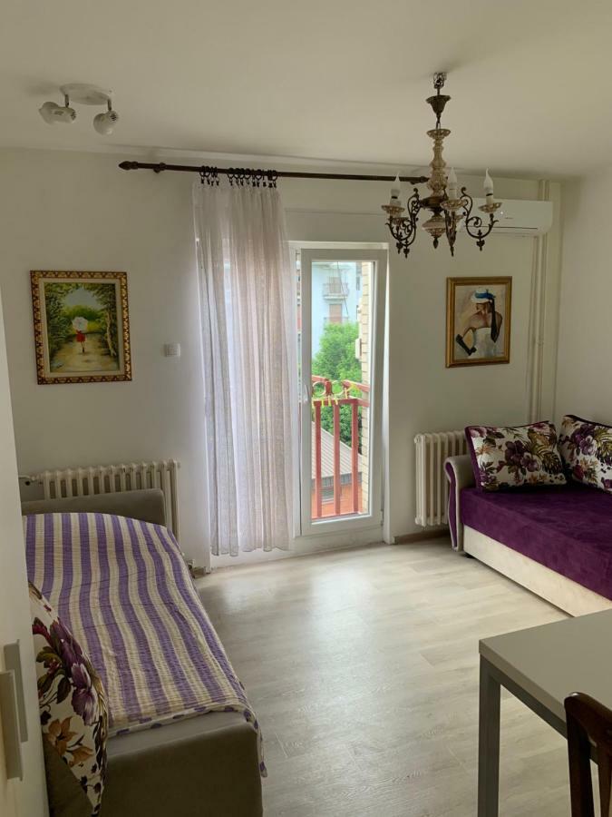 Violet Star Apartment Novi Sad Dış mekan fotoğraf